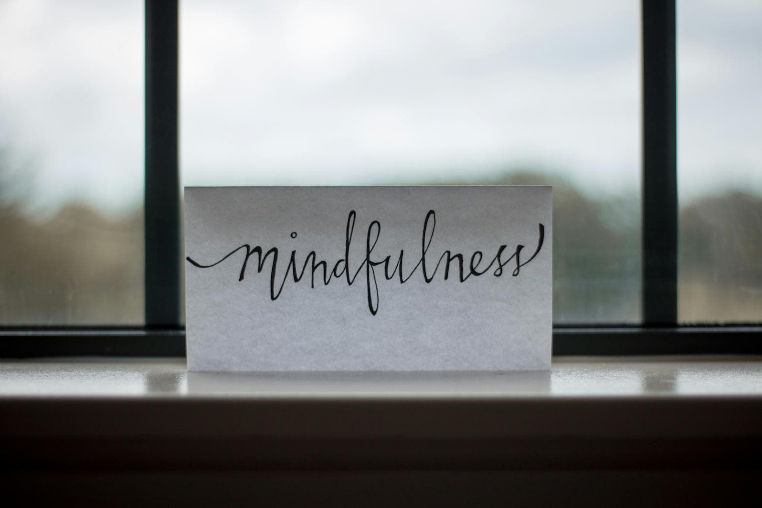 Mental Health and Behavioral Services